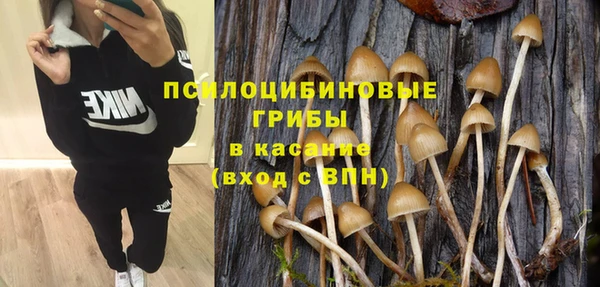 прущая мука Наволоки
