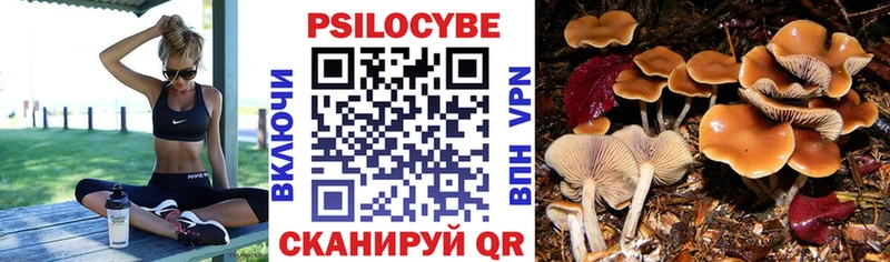 Псилоцибиновые грибы прущие грибы  Красноуфимск 